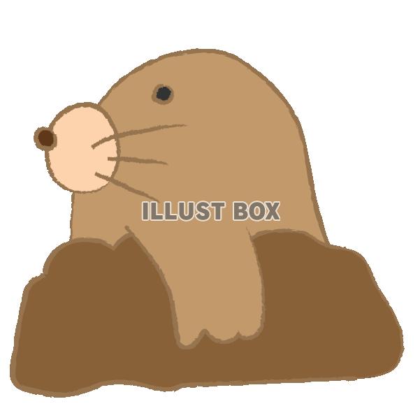 横向きのもぐら