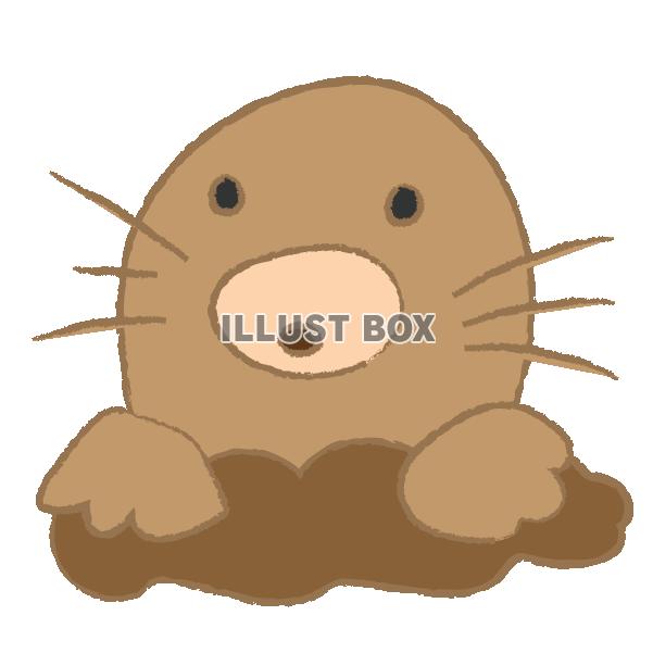 土から顔を出したもぐら