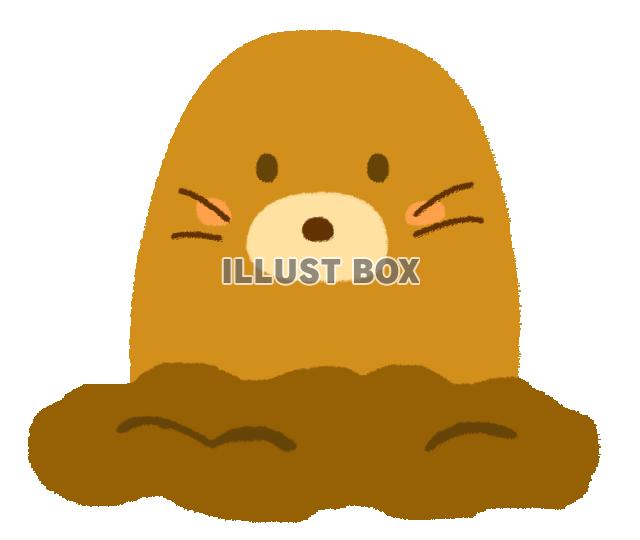 土からひょっこり顔を出したモグラ