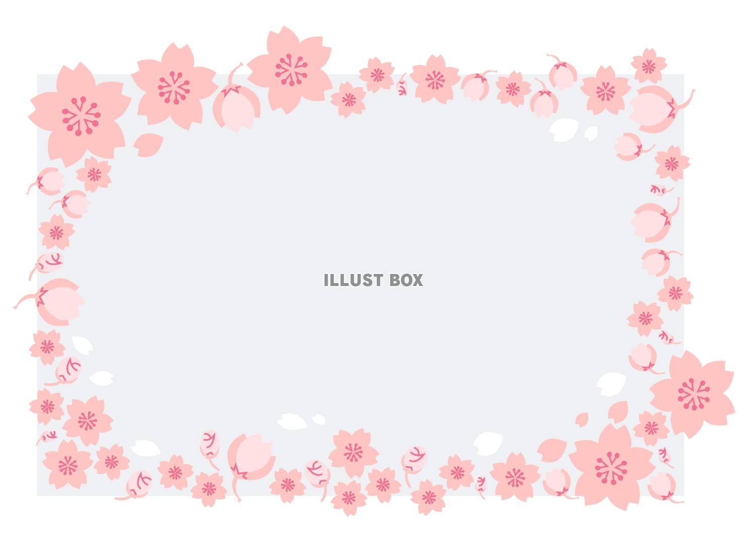 桜の花に囲まれたフレーム枠　ベクターイラスト