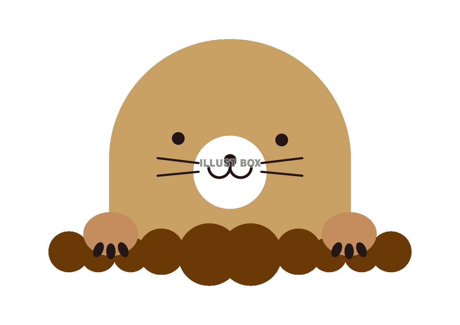 1_動物_モグラ