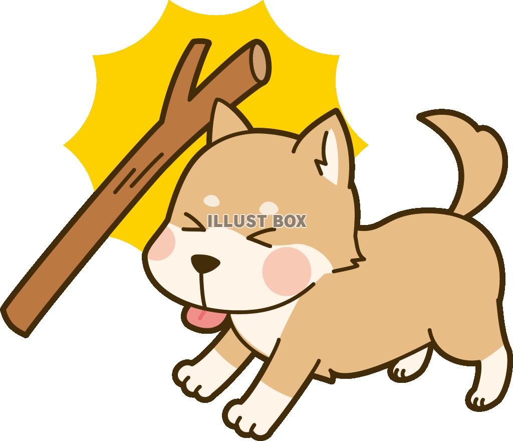 犬も歩けば棒に当たる