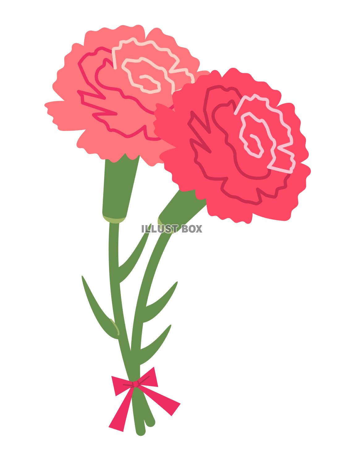 カーネーション　ベクターイラスト