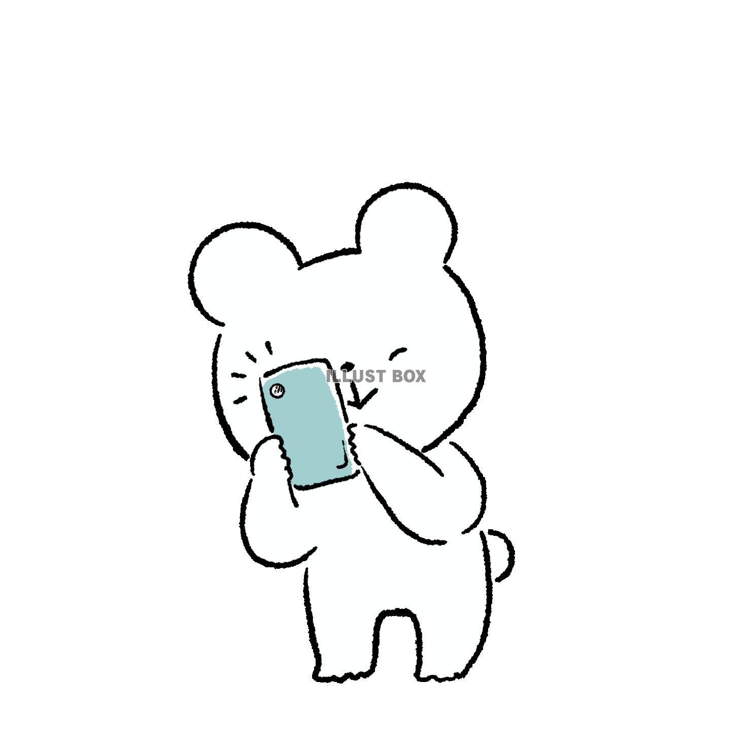 スマホで写真を撮るくま