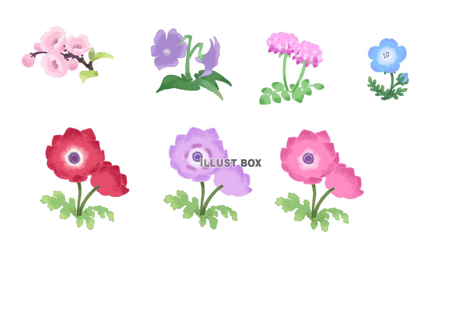 ステンシル風花イラスト　春の花セット