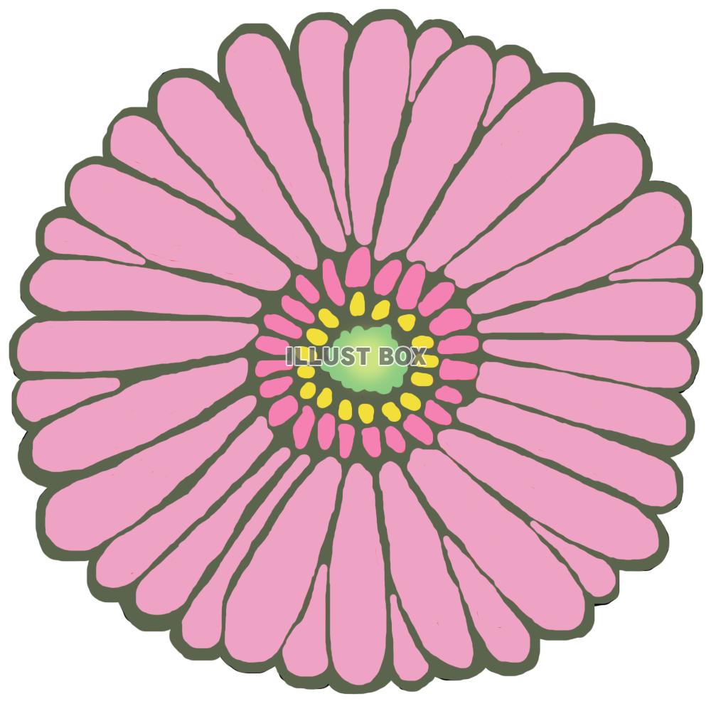ガーベラ(花のみ ピンク)png