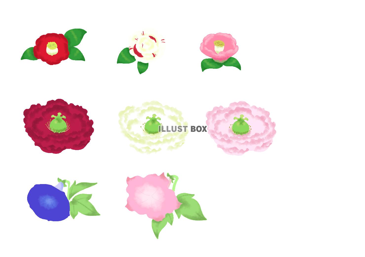 ステンシル風花イラスト　大ぶりの花セット