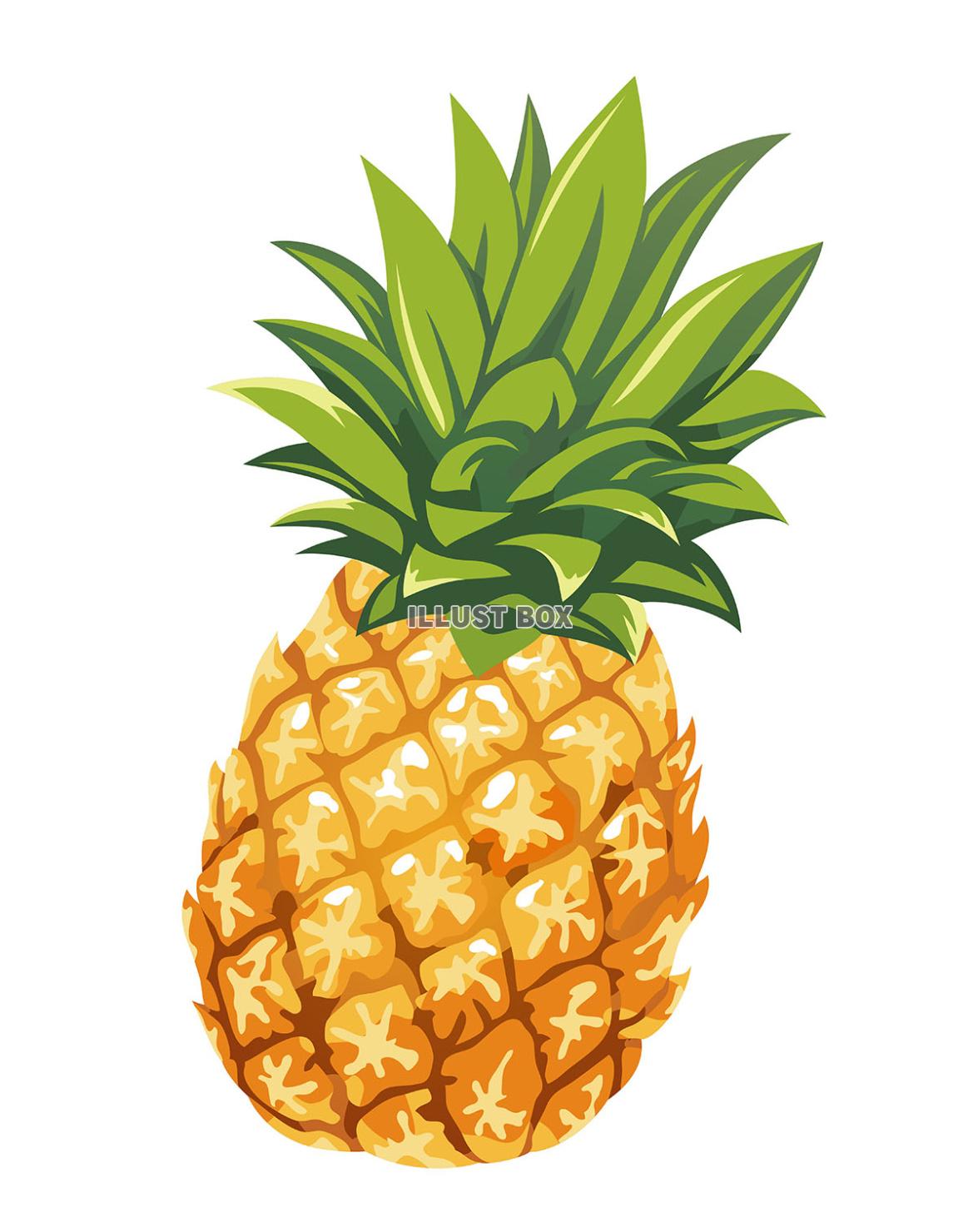 パイナップルのイラスト