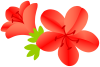さつきのお花　赤２