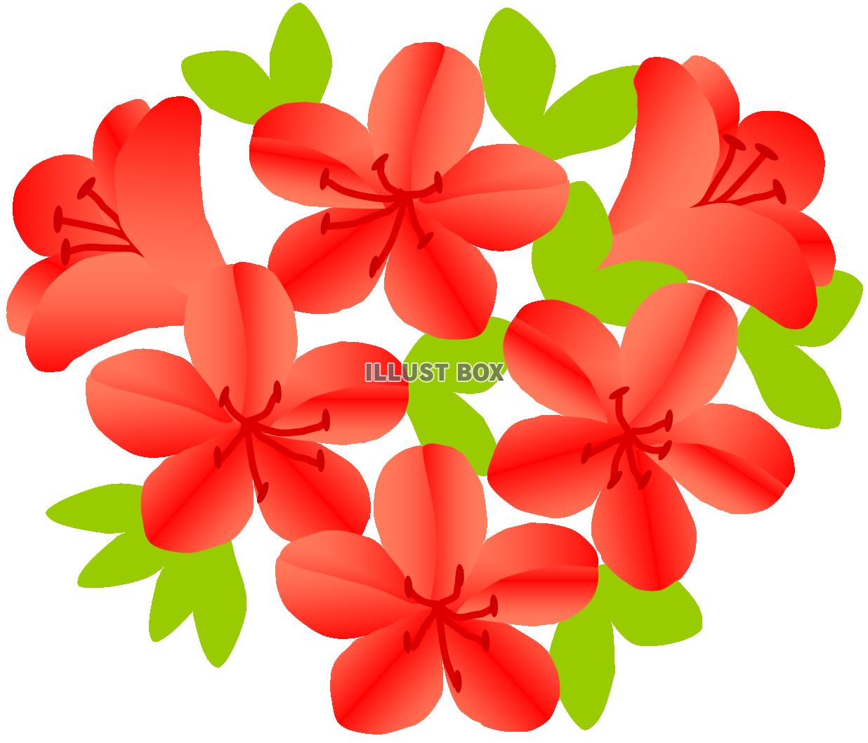 さつきのお花　赤４