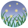 蛍の光と夜空の風景