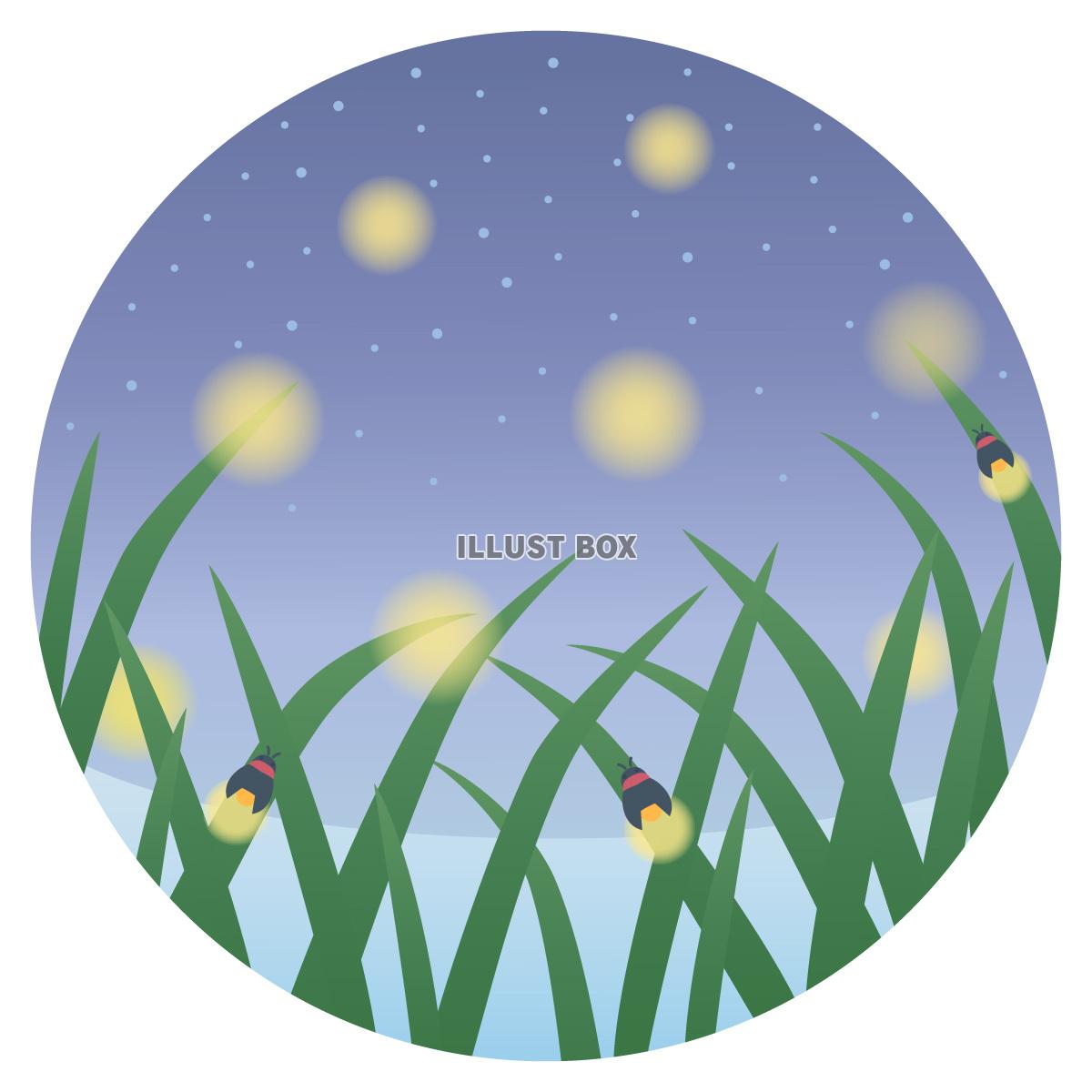 蛍の光と夜空の風景