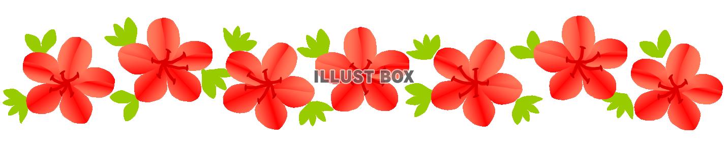 さつきのお花のライン　赤１
