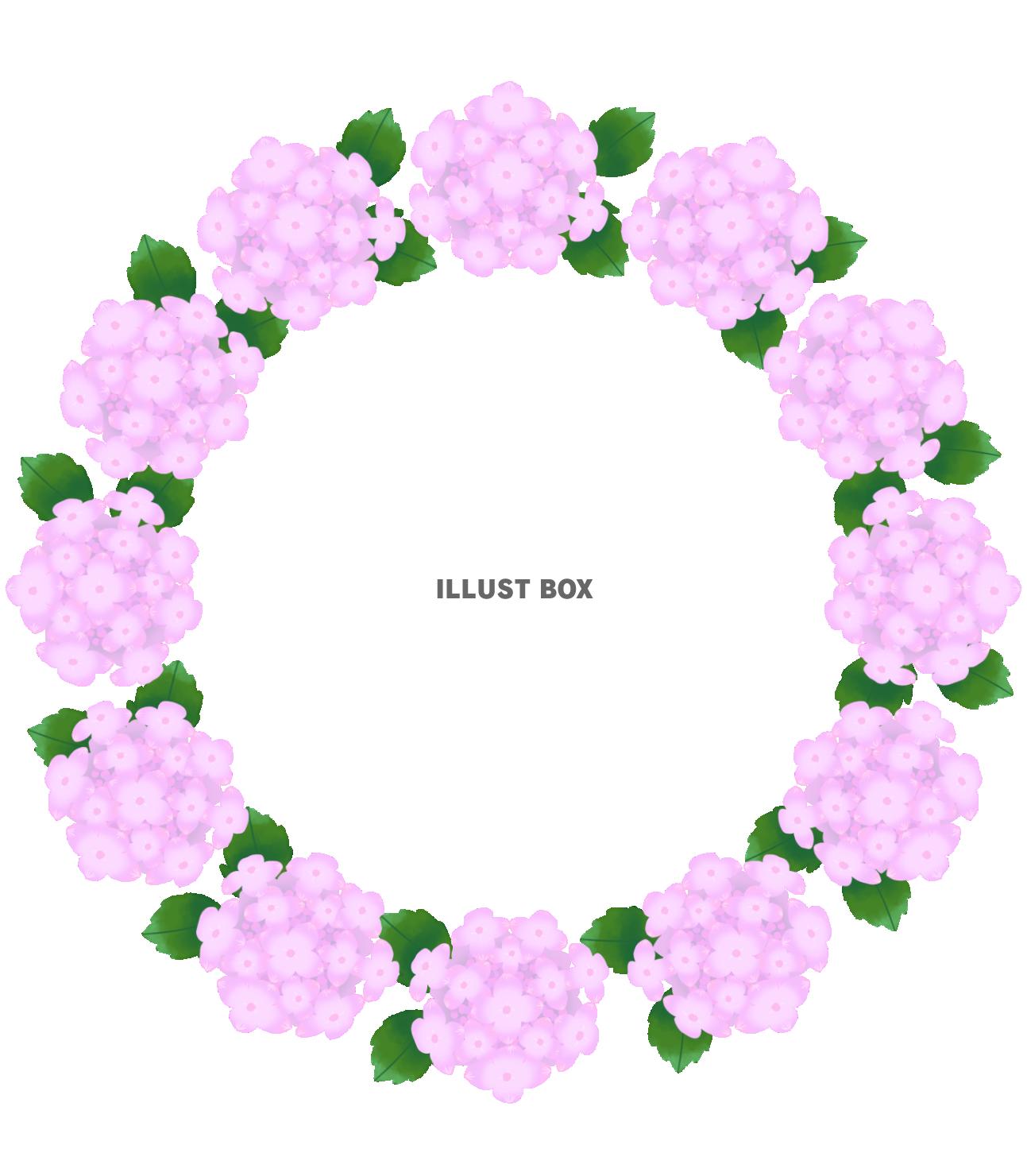 紫陽花のリース・ピンク