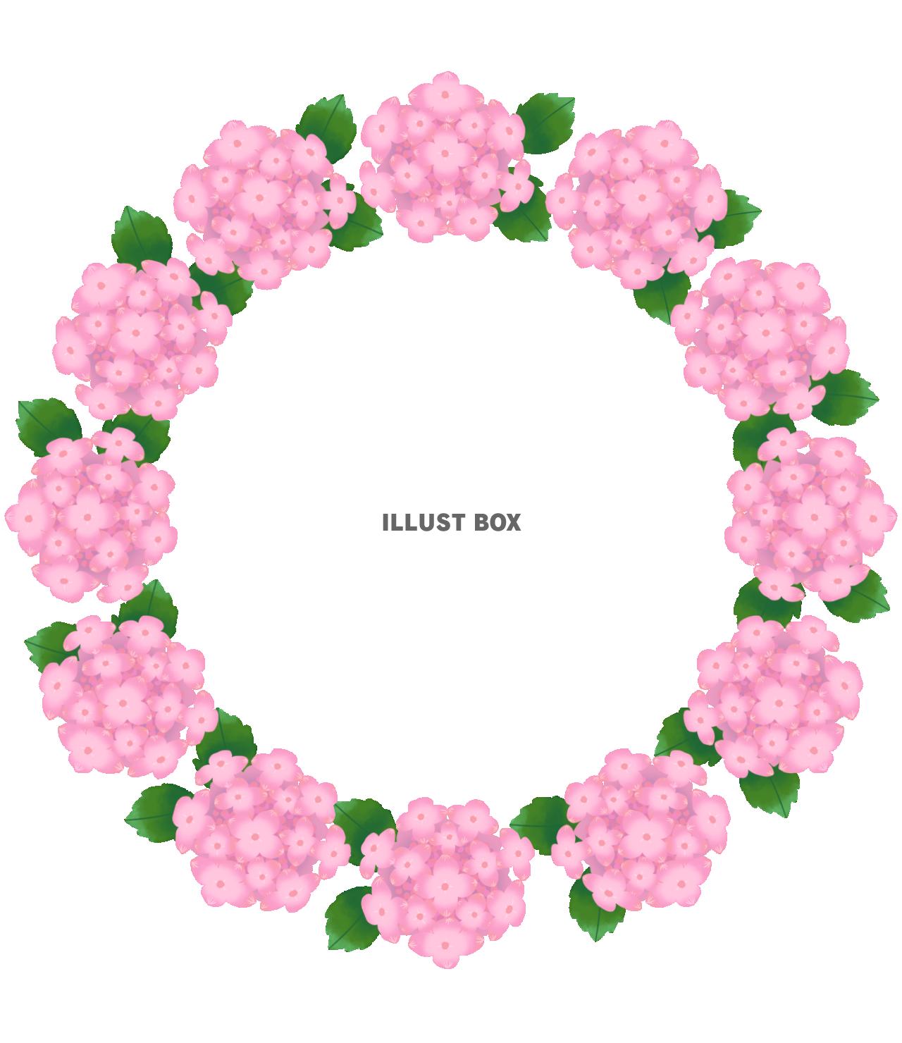 紫陽花のリース・赤