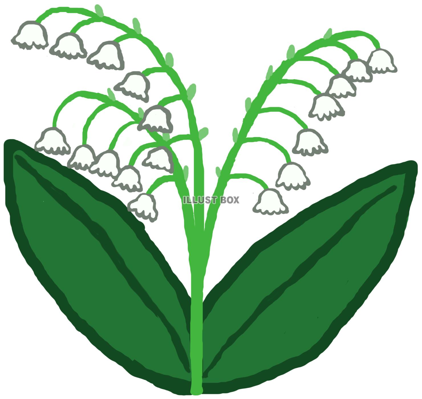 鈴蘭A(png)