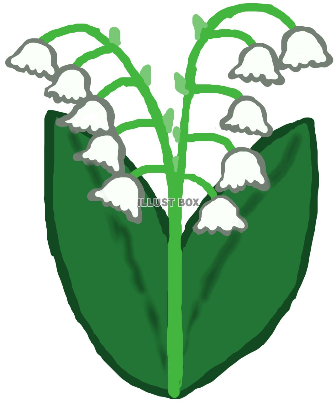鈴蘭B(png)