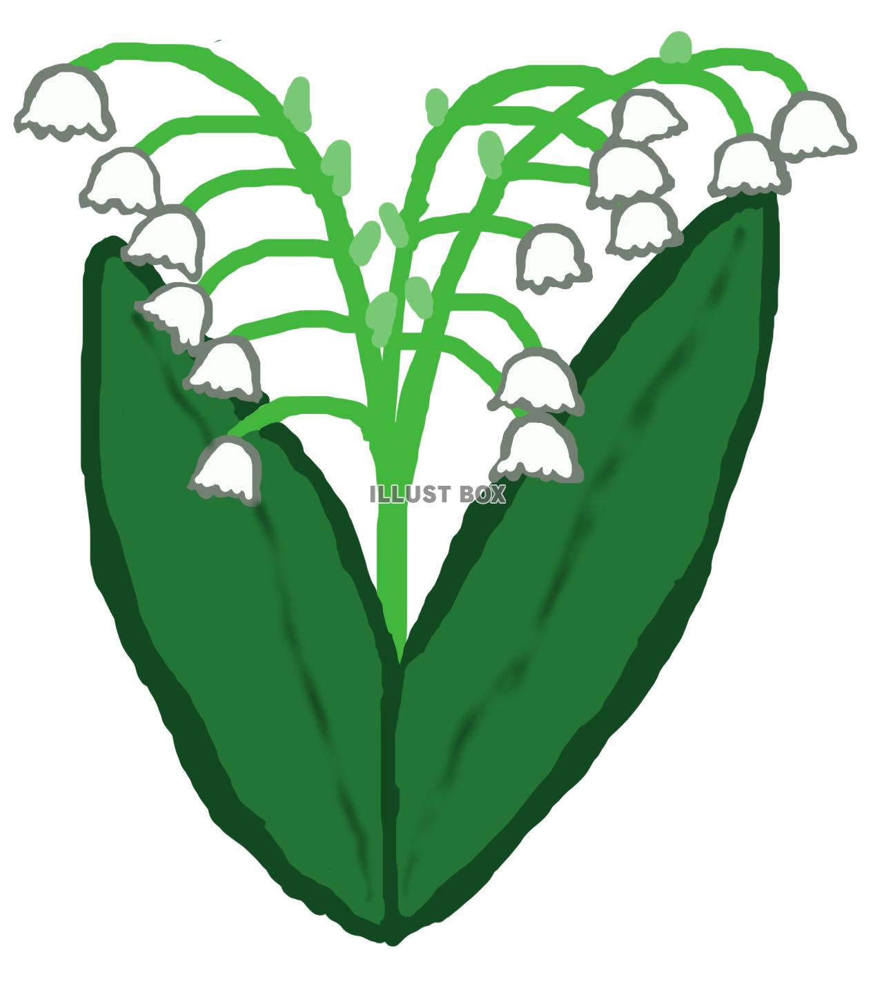 鈴蘭C(png)