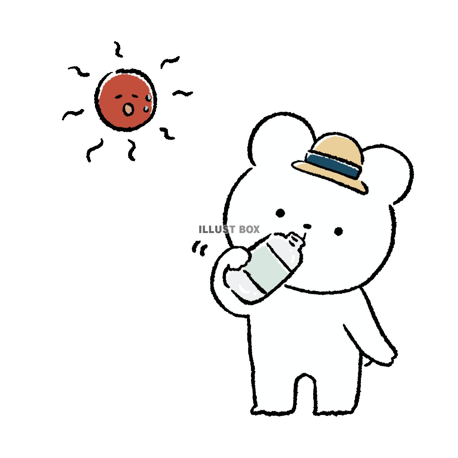 水分補給するくま