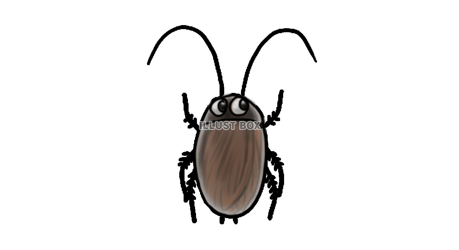 手描き　ゴキブリ