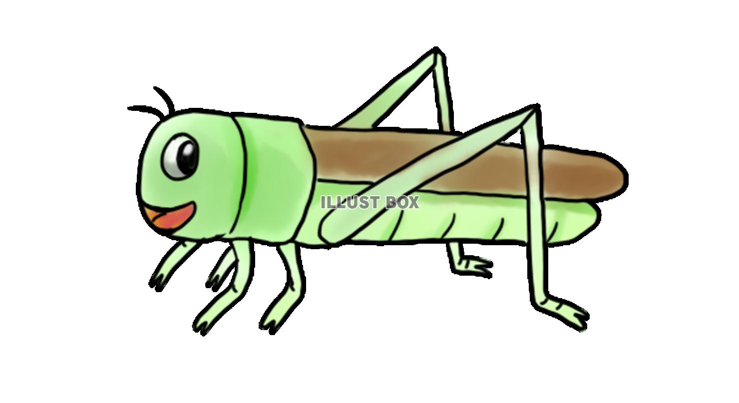 トノサマバッタ　手描き風イラスト