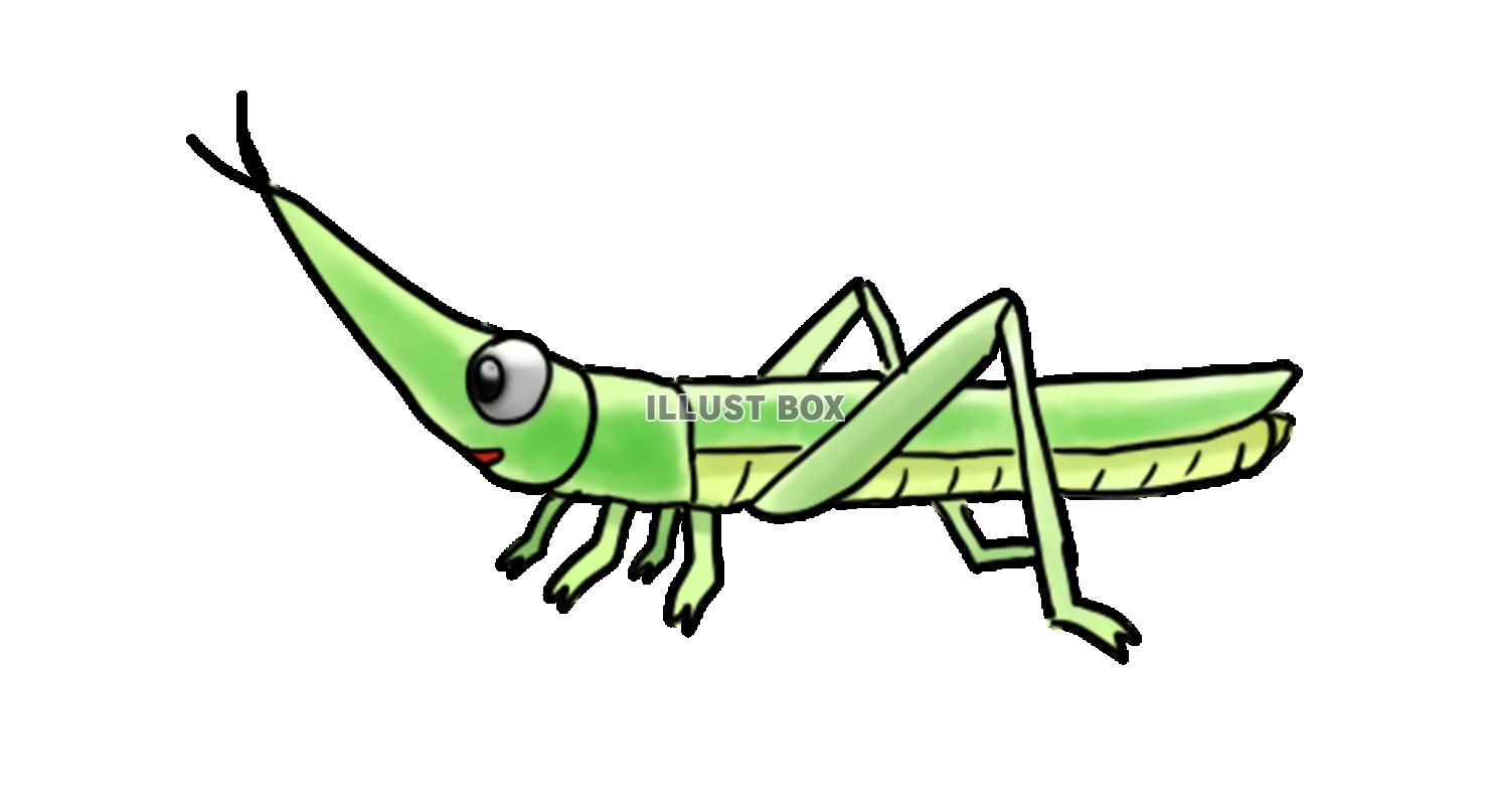 ショウリョウバッタ　手描き風