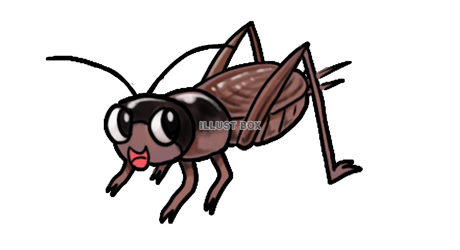 コオロギ　手描き風