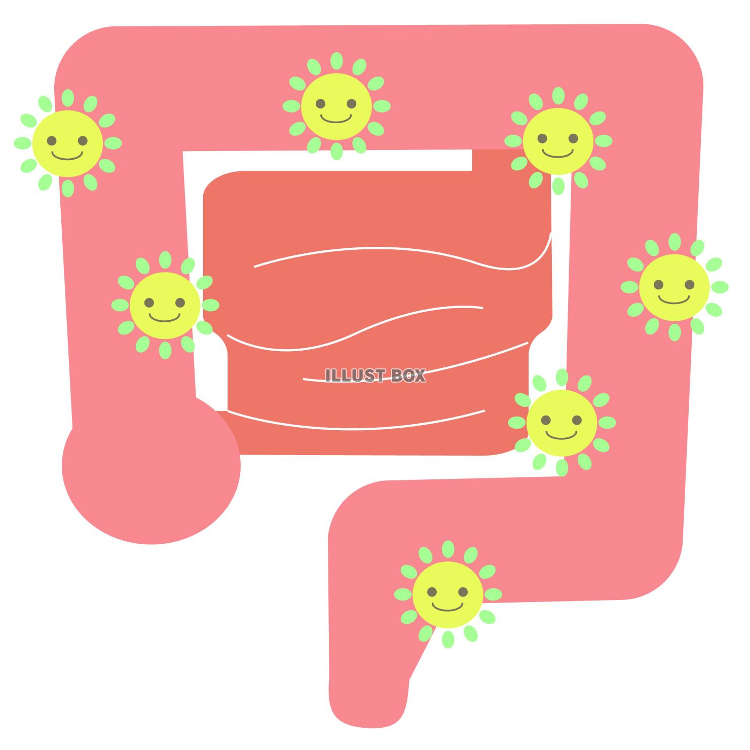 善玉菌と大腸　ベクターイラスト