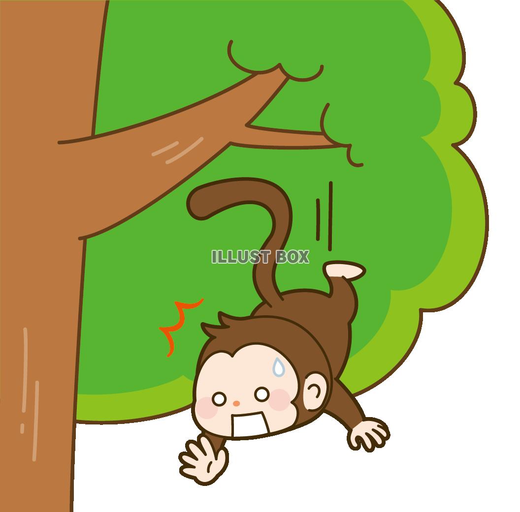 猿も木から落ちる