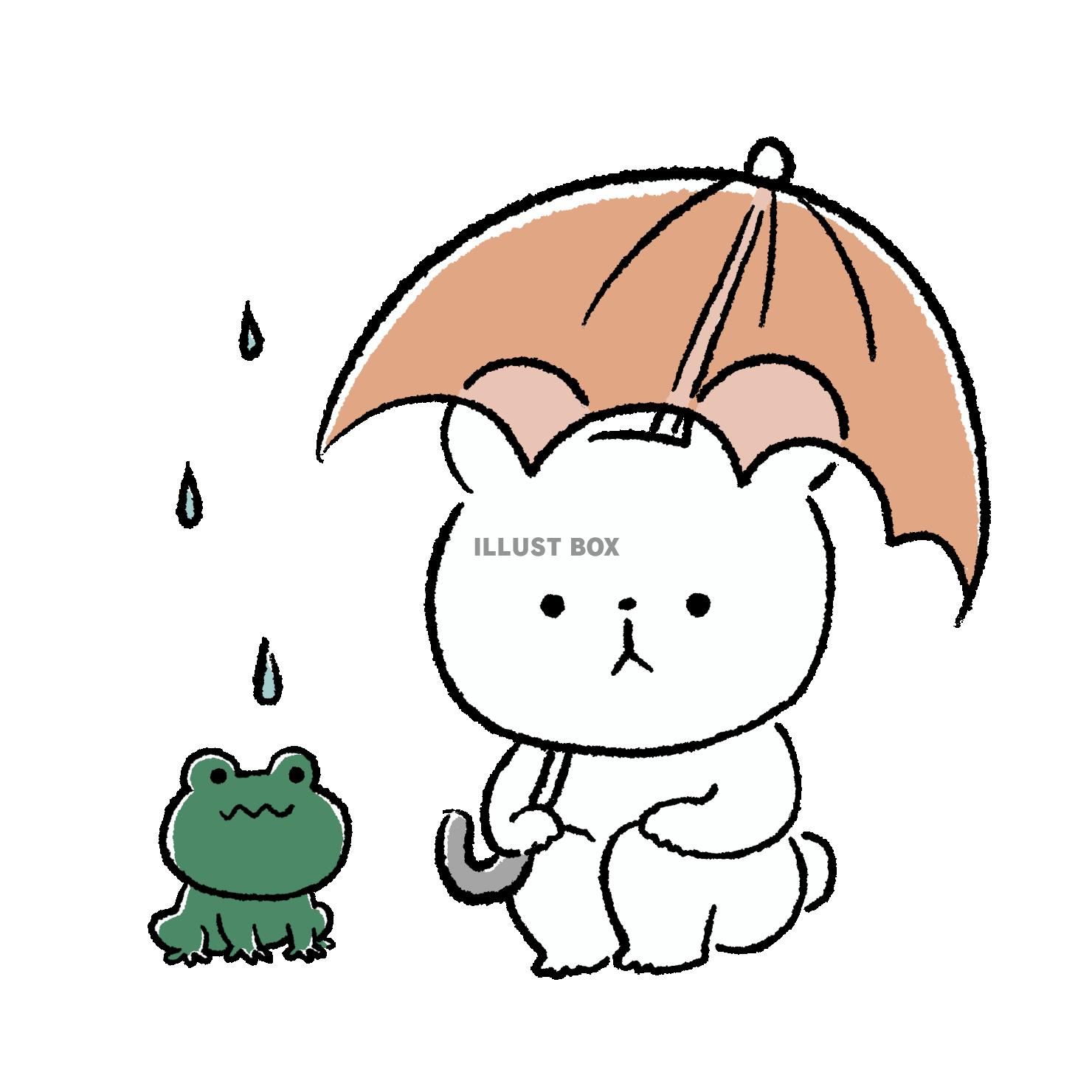 かえるとくま
