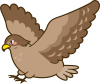 鷹