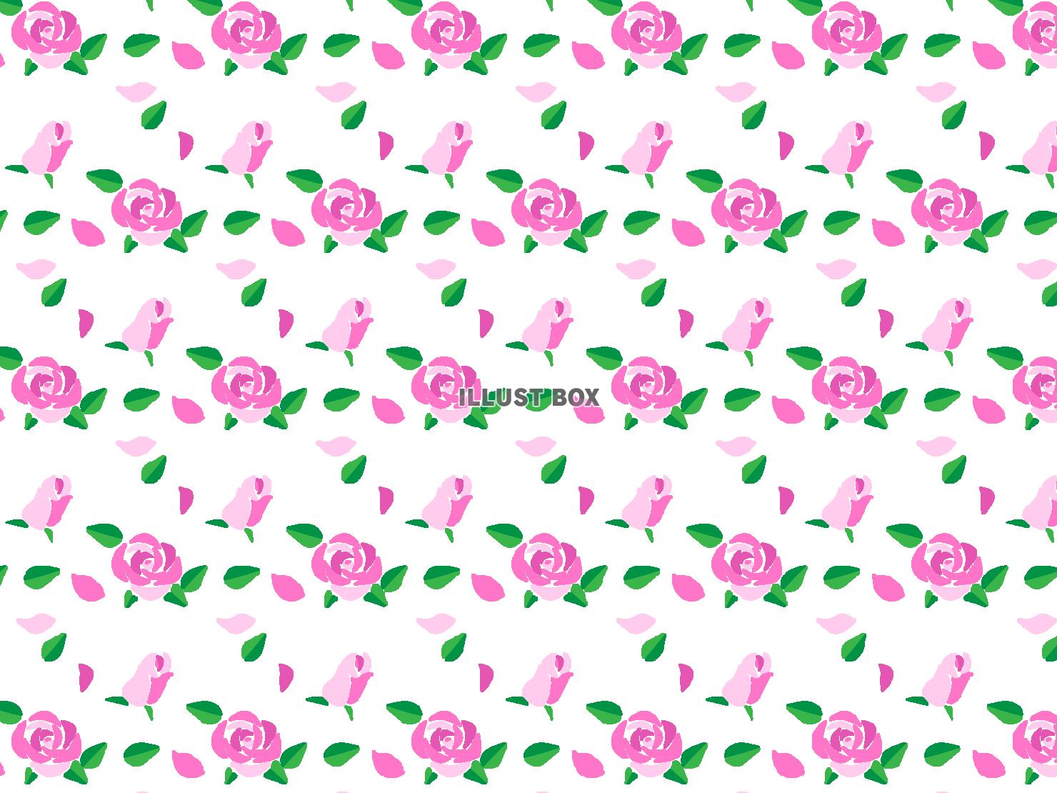 ピンクの薔薇の花と葉っぱを並べた背景