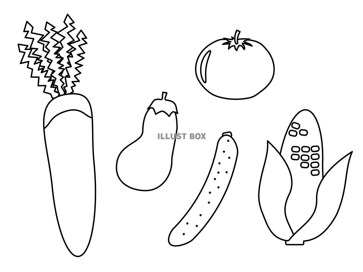 大根やとうもろこしの野菜のぬりえ