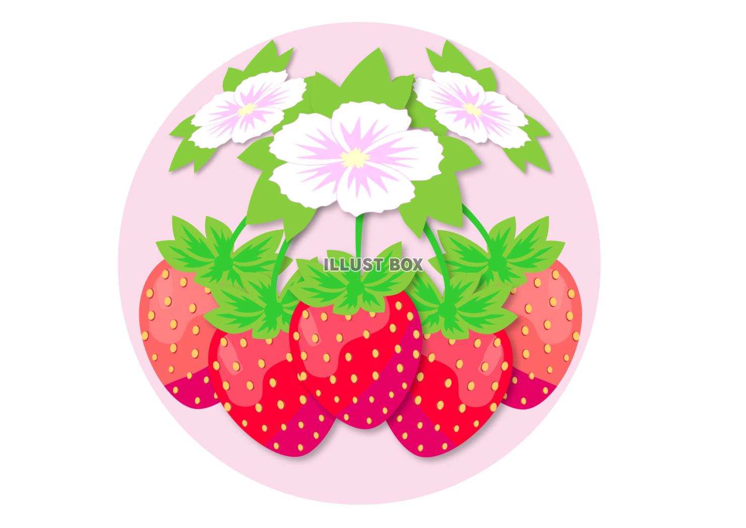 赤いないちごが房になり花も咲く可愛いストロベリーのロゴ
