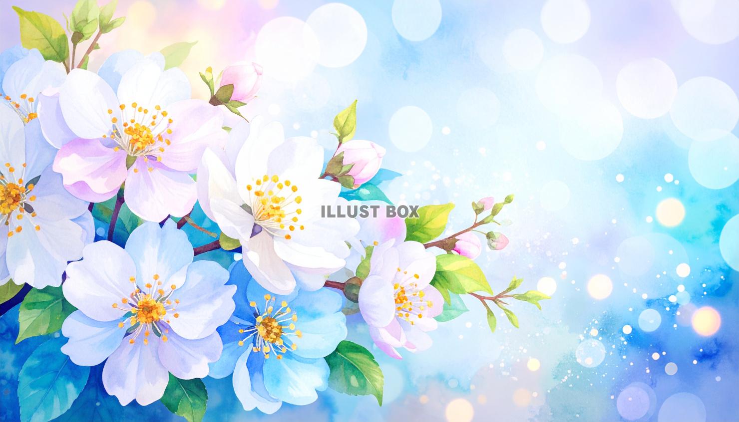 水彩風の淡い桜の壁紙／背景のイラスト