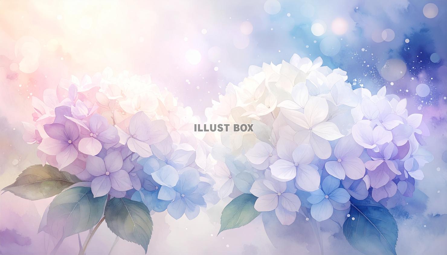 水彩風の淡い紫陽花の背景／壁紙のイラスト