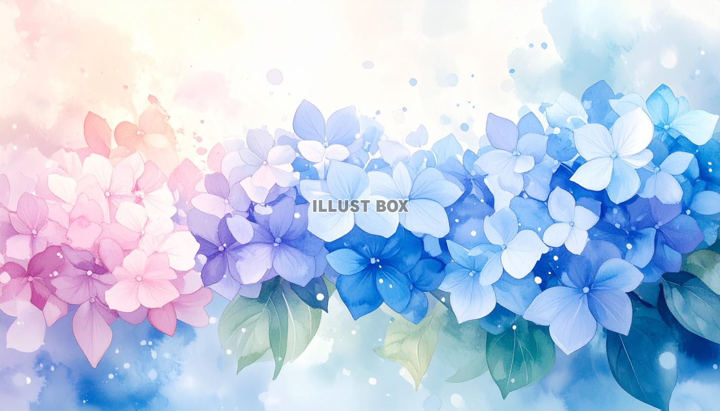水彩風の淡い紫陽花の壁紙／背景のイラスト