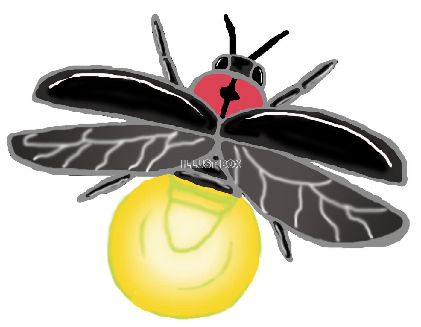 蛍B(png)