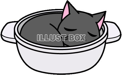 【ねこ】猫鍋