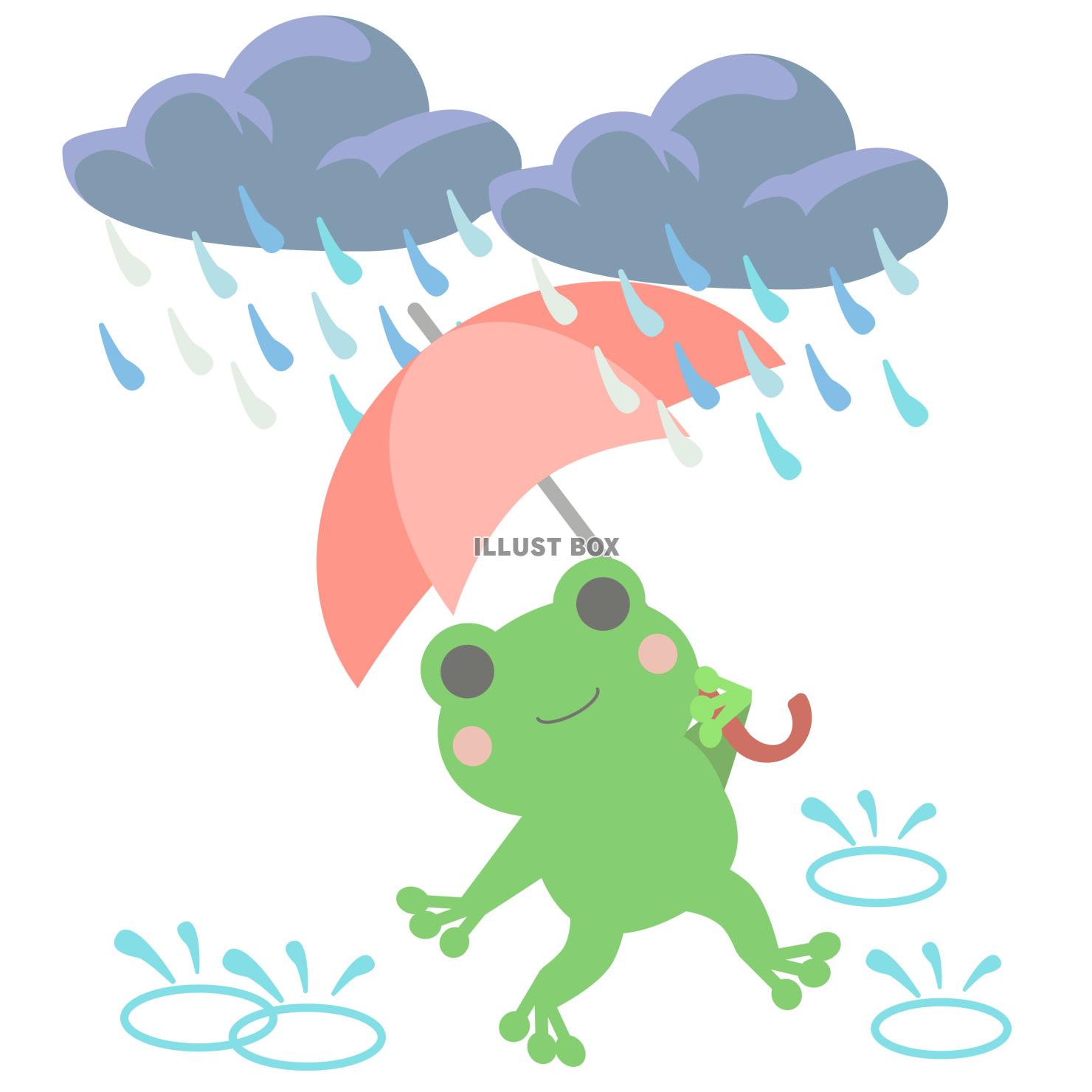 雨の日に傘をさして歩くカエル　ベクターイラスト