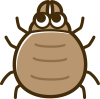 ダニ