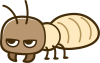 白アリ