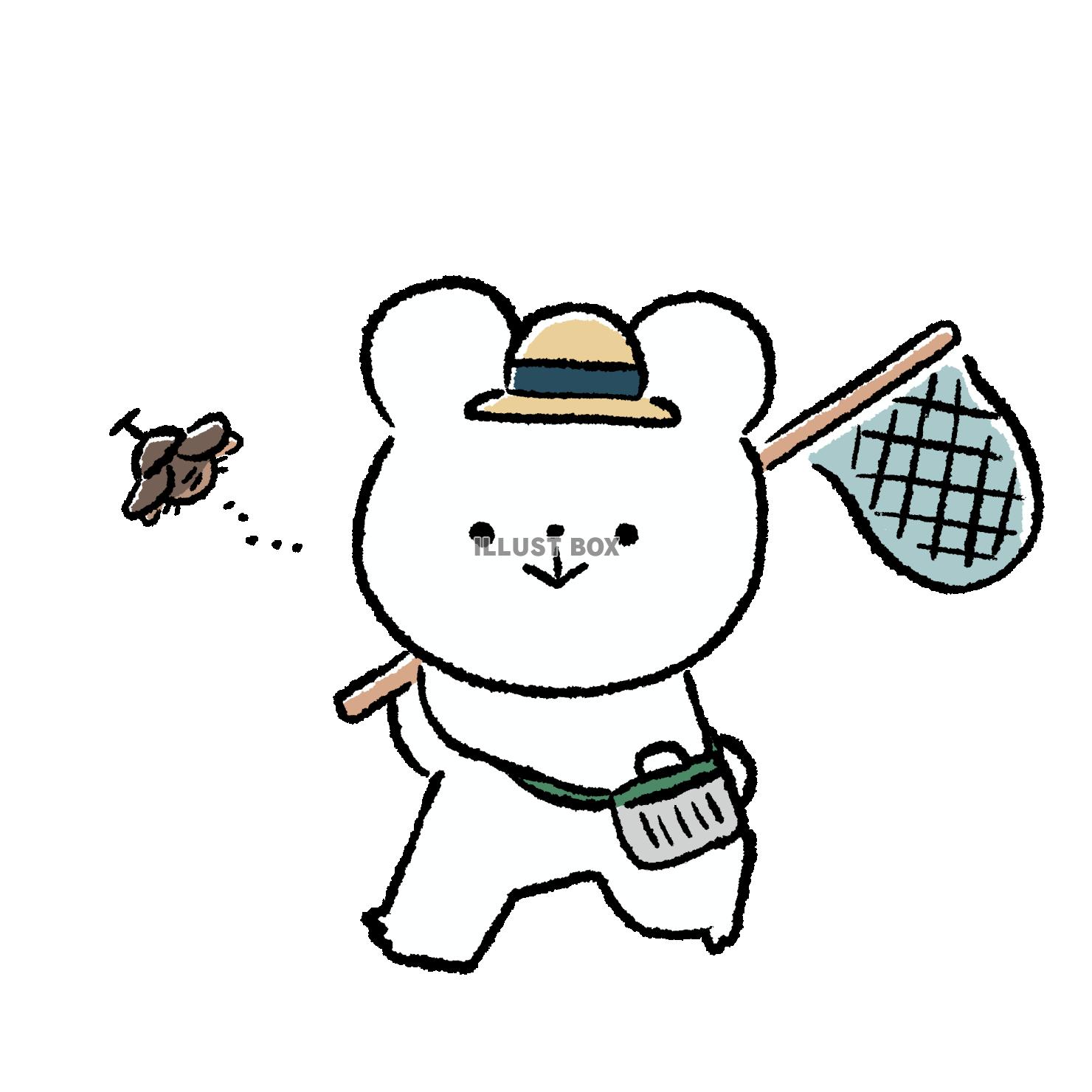 虫を追いかけるくま