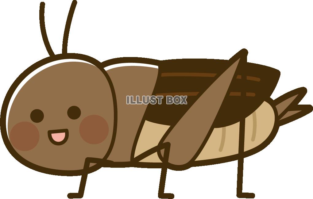 コオロギ