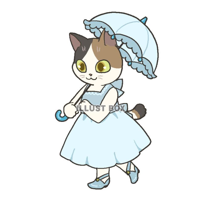 日傘をさす猫