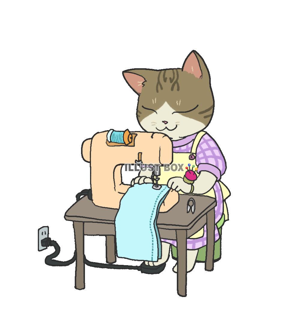 ミシンを使う猫