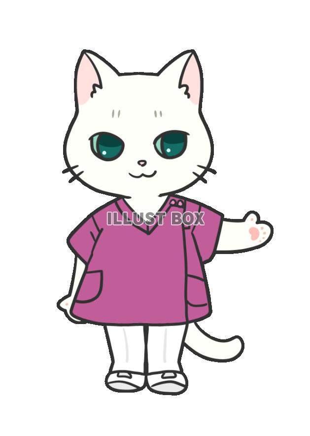 院内スタッフ猫・ピンクのスクラブ