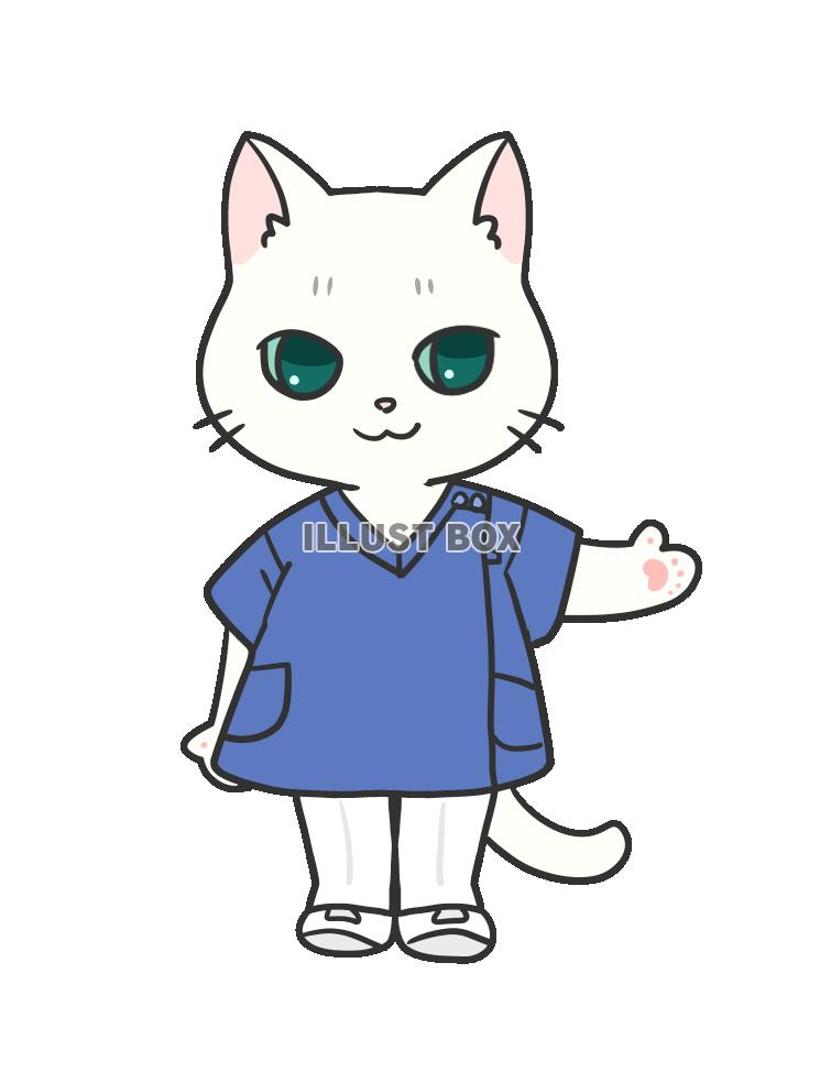 院内スタッフ猫・ブルーのスクラブ