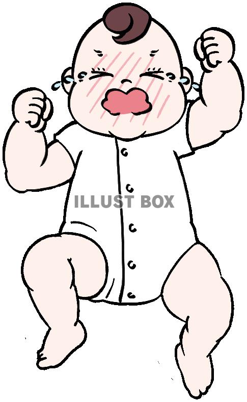 ギャン泣きするふくよかな赤ちゃん