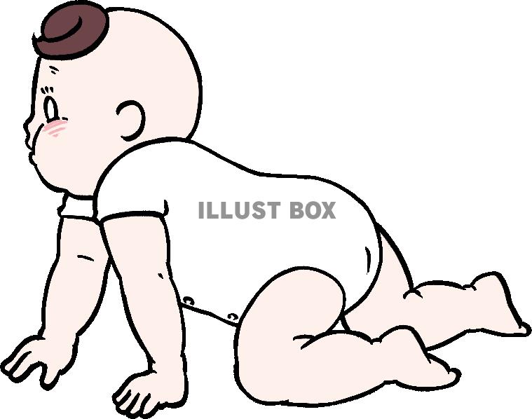 横向きのハイハイをするふくよかな赤ちゃん